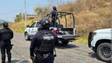 Policías y patrullas