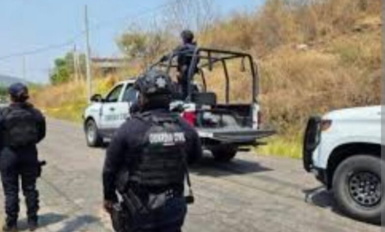 Policías y patrullas
