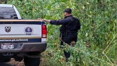 Lázaro Cárdenas, Michoacán, seguridad pública