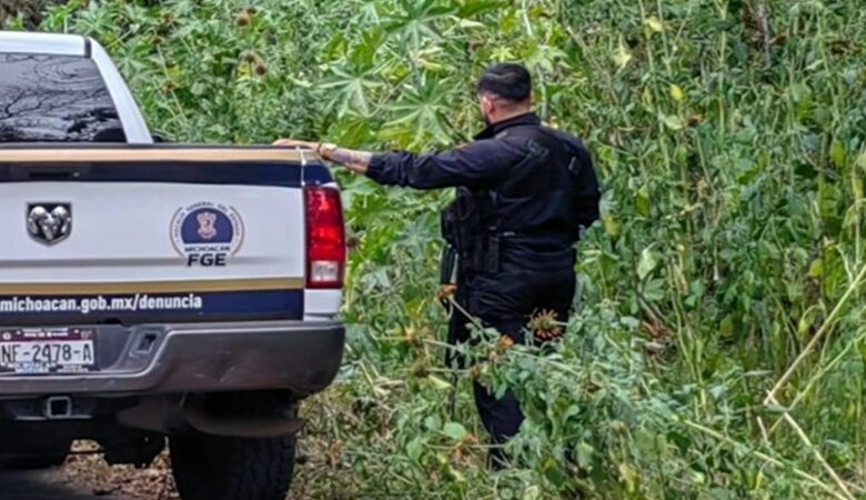 Lázaro Cárdenas, Michoacán, seguridad pública