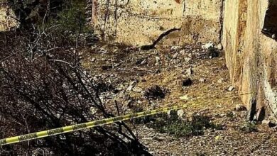 FGE, Hallazgo, Restos óseos