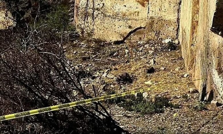 FGE, Hallazgo, Restos óseos