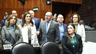 Cámara de Diputados, PAN