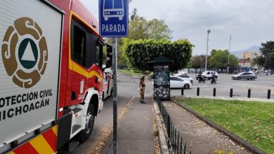 Protección Civil, Morelia, rescate animal