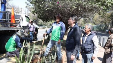 Morelia, Servicios Públicos Municipales, mantenimiento