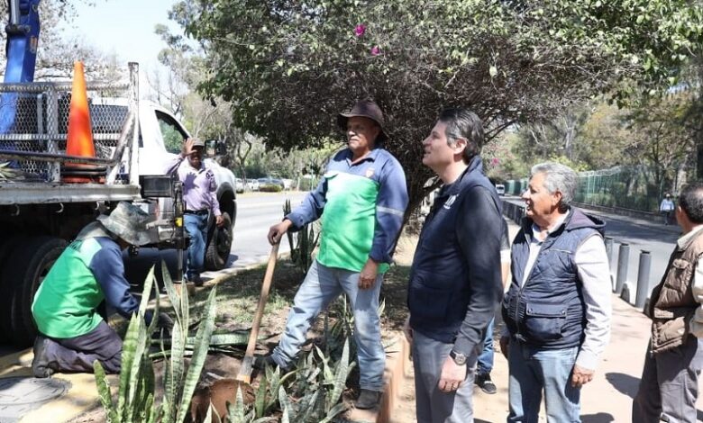 Morelia, Servicios Públicos Municipales, mantenimiento