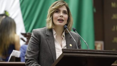 Brissa Arroyo Martínez, Congreso de Michoacán
