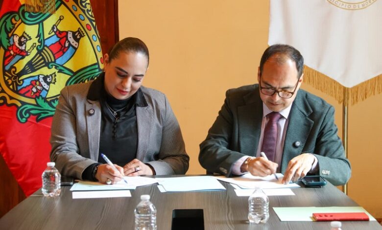 Consejo Ciudadano de Morelia