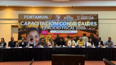 Michoacán, FORTAMUN, Morena