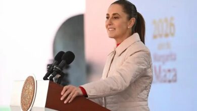 Claudia Sheinbaum, Plan Michoacán