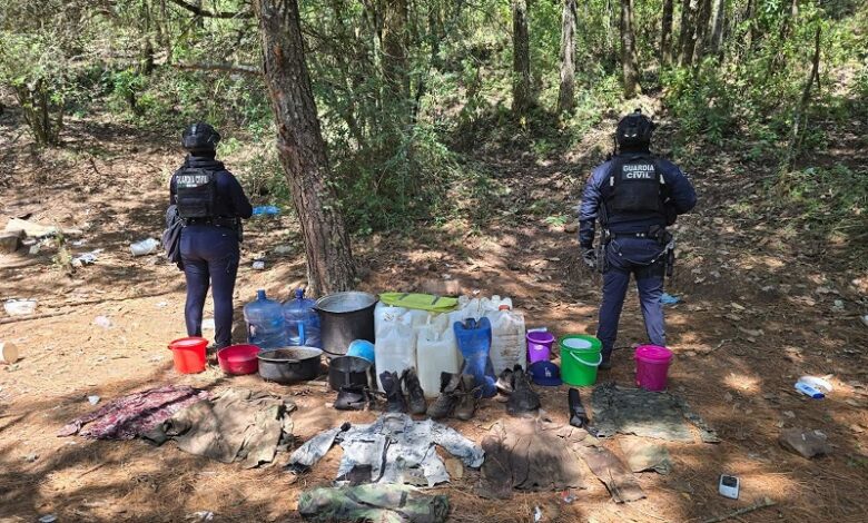 seguridad, Salvador Escalante