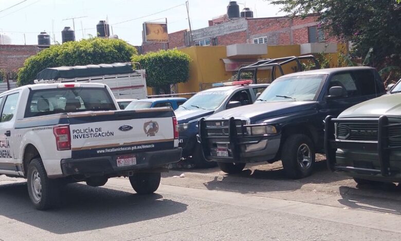 Patrullas y camionetas