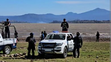 Policías y patrullas