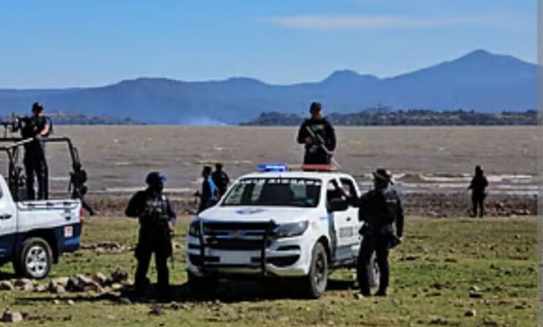 Policías y patrullas