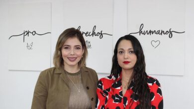 Brissa Arroyo, Amelí Gissel Navarro, PRD, TEEMICH