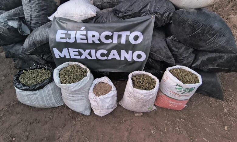 Droga, FGE