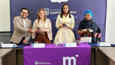 Morelia Sefeco, Propiedad Industrial,