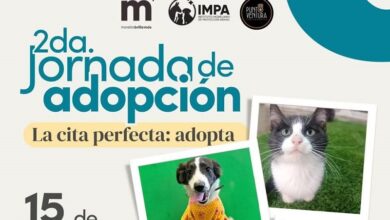 Jornada de Adopción, Morelia