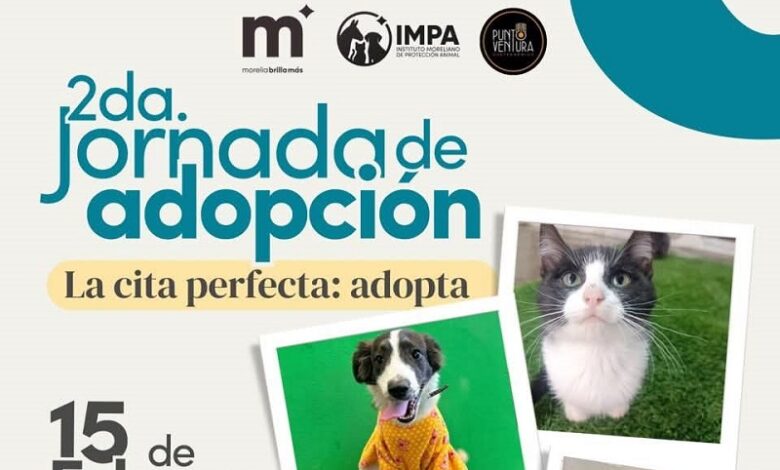 Jornada de Adopción, Morelia