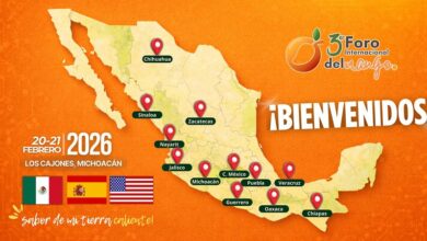 Mango, Sectur
