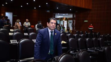 Ernesto Núñez, PVEM