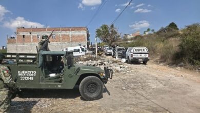 Ejército Mexicano, FGE de Michoacán