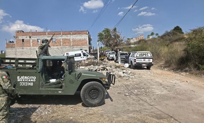 Ejército Mexicano, FGE de Michoacán