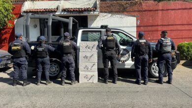 Uruapan, Central de Autobuses , marihuana,
