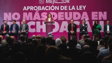 Congreso de Michoacán, Fabiola Alanís