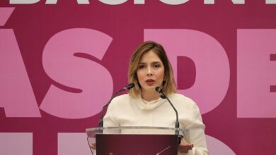 Brissa Arroyo, PRD