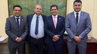 Ernesto Núñez, PVEM