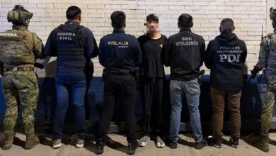 homicidio, intérpretes, detención,
