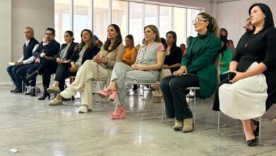 Sefeco, Registro de marca