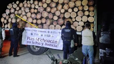 Angangueo, Tala Clandestina