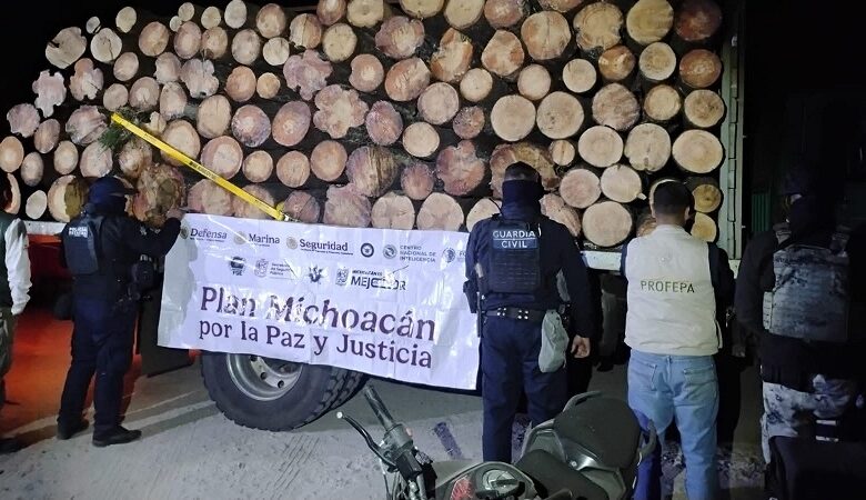 Angangueo, Tala Clandestina
