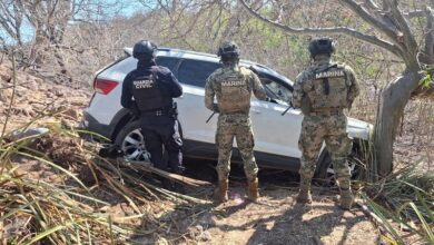 Arteaga, Aseguramiento de armas, Toluquilla