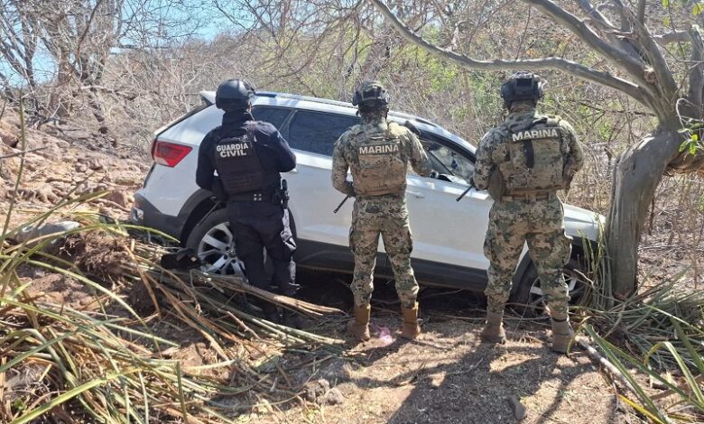 Arteaga, Aseguramiento de armas, Toluquilla