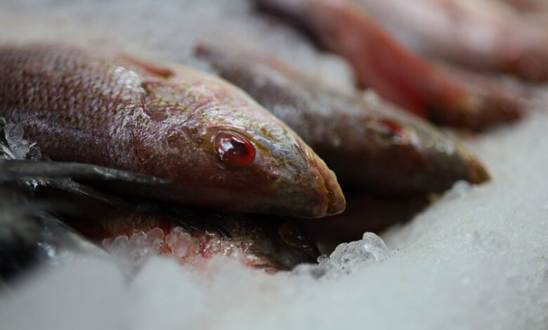 Pescados