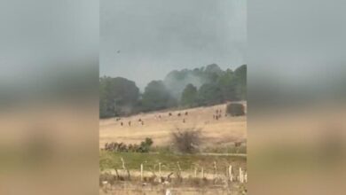 Operativo en Tapalpa