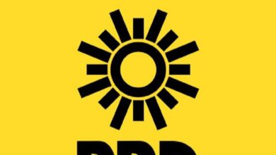 PRD Michoacán, Seguridad Pública