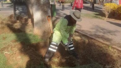 Morelia, Servicios Públicos