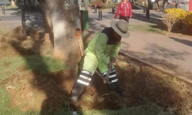 Morelia, Servicios Públicos