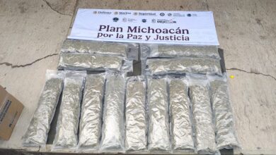 Tierra Caliente, Aseguramiento de droga, Marihuana