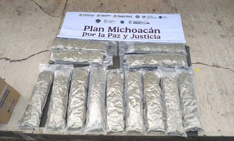 Tierra Caliente, Aseguramiento de droga, Marihuana