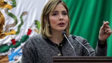 Brissa Arroyo, Congreso de Michoacán