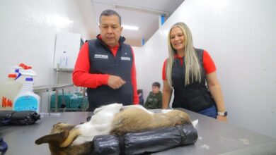 Juan Carlos Barragán y Verónica Zamudio