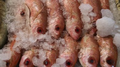 Pescados congelados