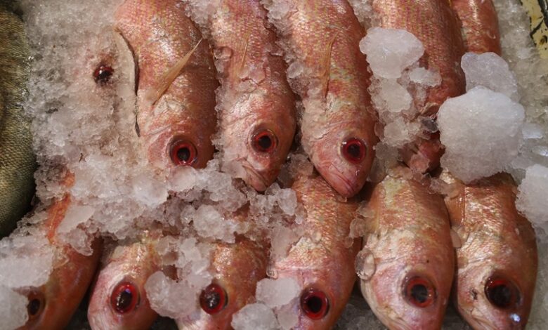 Pescados congelados