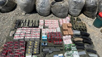 Lázaro Cárdenas, Decomiso, Narcotráfico