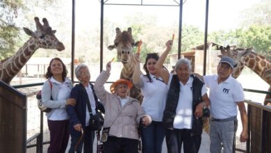 DIF Morelia, Paola Delgadillo